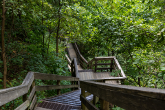 Amicalola-September-2026-134