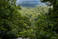 Amicalola-September-2026-145