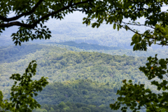 Amicalola-September-2026-163