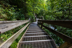 Amicalola-September-2026-195
