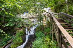 Amicalola-September-2026-211