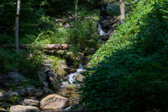 Amicalola-September-2026-227