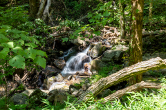 Amicalola-September-2026-39