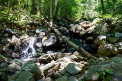 Amicalola-September-2026-42