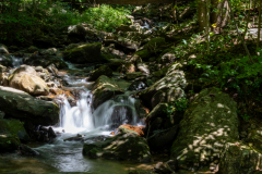 Amicalola-September-2026-7