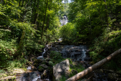 Amicalola-September-2026-79