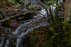 Falling-waters-medium Falling-waters-medium
