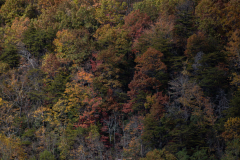 Mountain-Top-Colorful-Zoomed