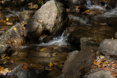 Small-stream-fall Small-stream-fall