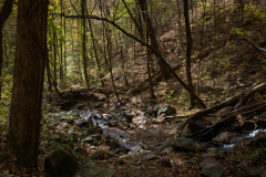 Stream-Shadows
