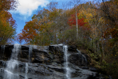 Top-Falls-Red-Tree-Focus Top-Falls-Red-Tree-Focus