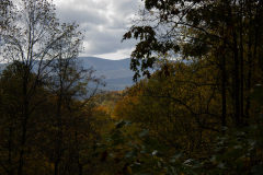 Trees-and-Mountains-Backdrop Trees-and-Mountains-Backdrop