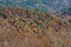 Colorful mountain side Colorful mountain side