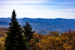 Foreground and background mountain trees Foreground and background mountain trees