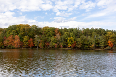Autumn trees across lake Autumn trees across lake