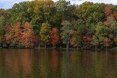 Tribble-Mill-Fall-2025-04 Tribble-Mill-Fall-2025-04