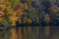 Autumn trees bending around lake Autumn trees bending around lake