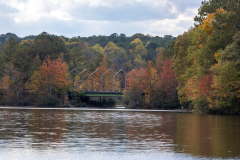 Bridge amongst colorful trees Bridge amongst colorful trees