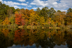 Reflective waters with colorful trees Reflective waters with colorful trees