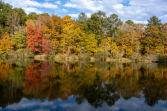 Reflective waters with colorful trees Reflective waters with colorful trees
