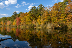 Highly reflective waters with colorful autumn trees Highly reflective waters with colorful autumn trees