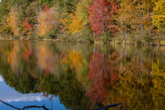 Reflective waters Reflective waters