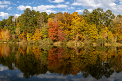 Reflective panoramic