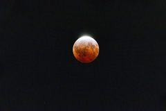 Blood-Moon-Adaptive-Edit-smaller