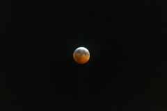 Blood-Moon-Begins