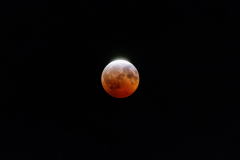 Blood-Moon-Camera-Neutral