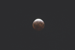 Blood-Moon-FP-Matte-Black-Low-Contrast