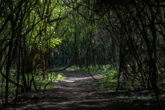 chattahoochee river chattahoochee river