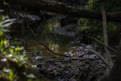 chattahoochee river chattahoochee river