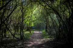 DahlonegaBowmanIsland-67 DahlonegaBowmanIsland-67