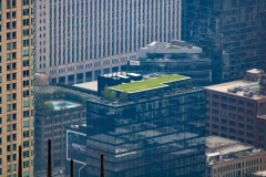 Grassy rooftops Grassy rooftops