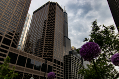 Hidden Sears Tower Hidden Sears Tower