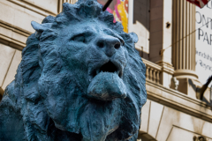 Museum Lion