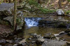 Cloudland-Canyon-102