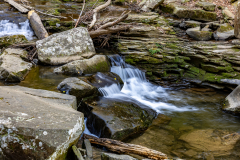 Cloudland-Canyon-104