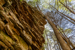 Cloudland-Canyon-105