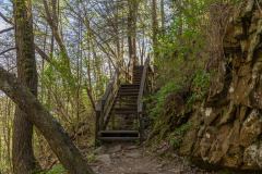 Cloudland-Canyon-132