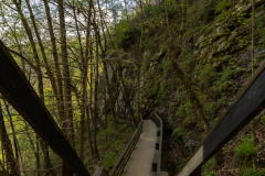 Cloudland-Canyon-134