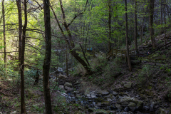 Cloudland-Canyon-153