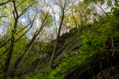 Cloudland-Canyon-175