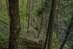 Cloudland-Canyon-185