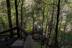 Cloudland-Canyon-187