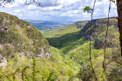 Cloudland-Canyon-211