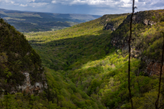 Cloudland-Canyon-217