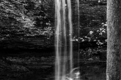 Cloudland-Canyon-223