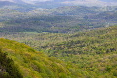 Cloudland-Canyon-26